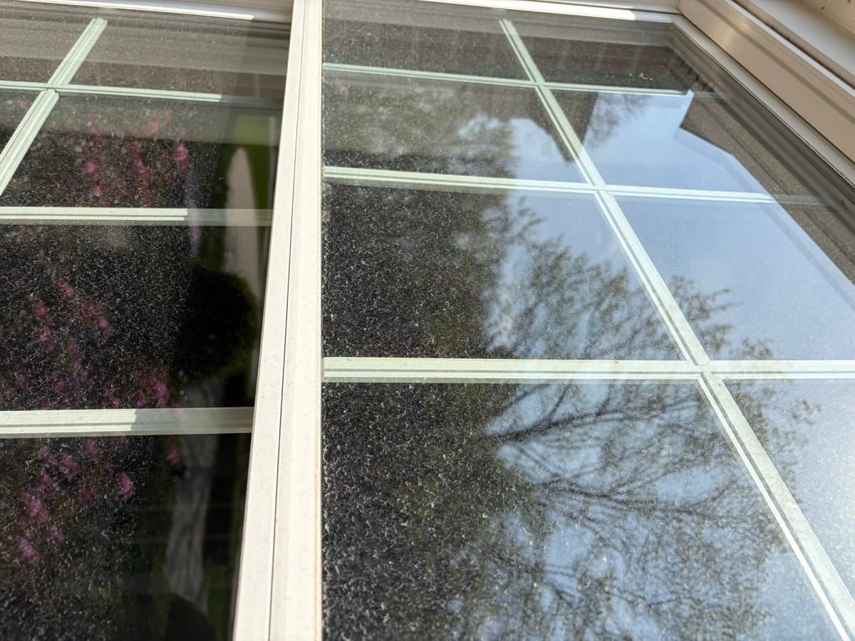 Sunroom window panes covered in dirt and algae before cleaning