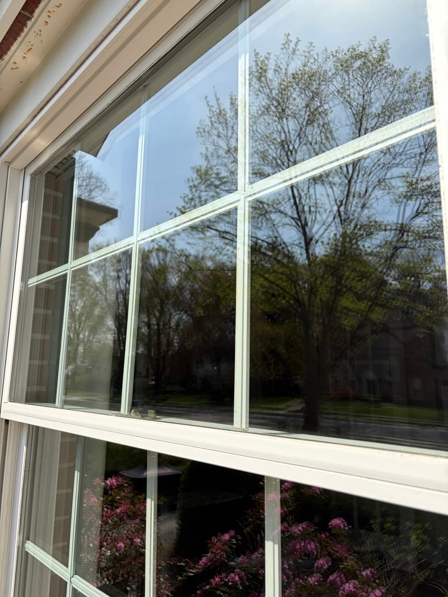 Same window panes clear and reflecting the trees after cleaning