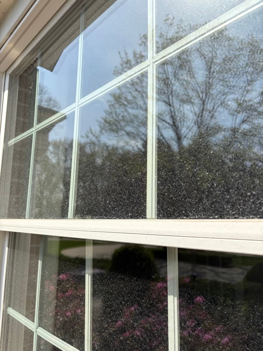 Window panes speckled with spots and grime before cleaning