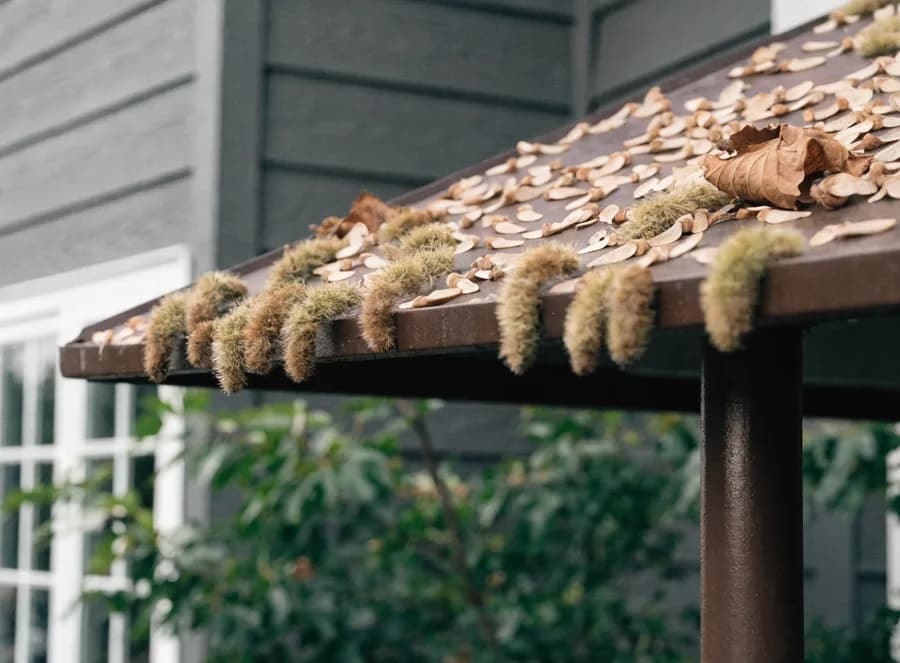 Canopy debris load
