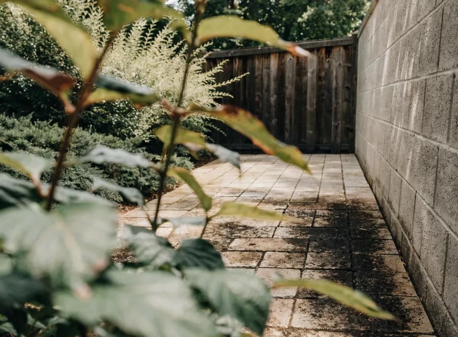 Backyard patio grime