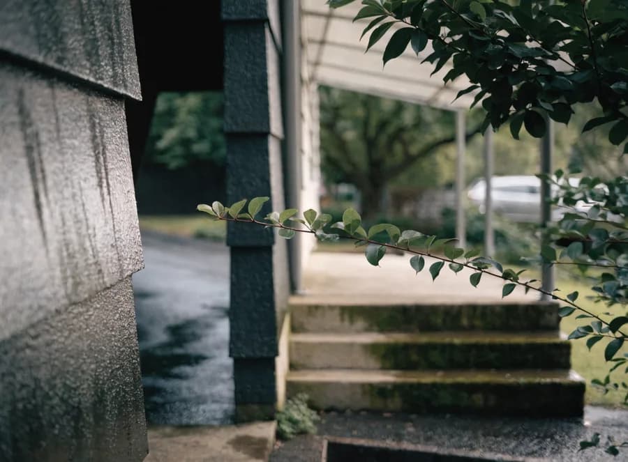 Canopy shade, damp surfaces