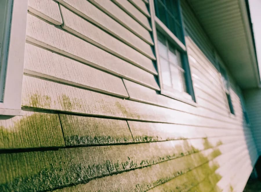 Vinyl siding algae